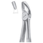 Extracting Forceps
