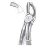 Extracting Forceps