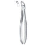 Extracting Forceps