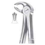 Extracting Forceps