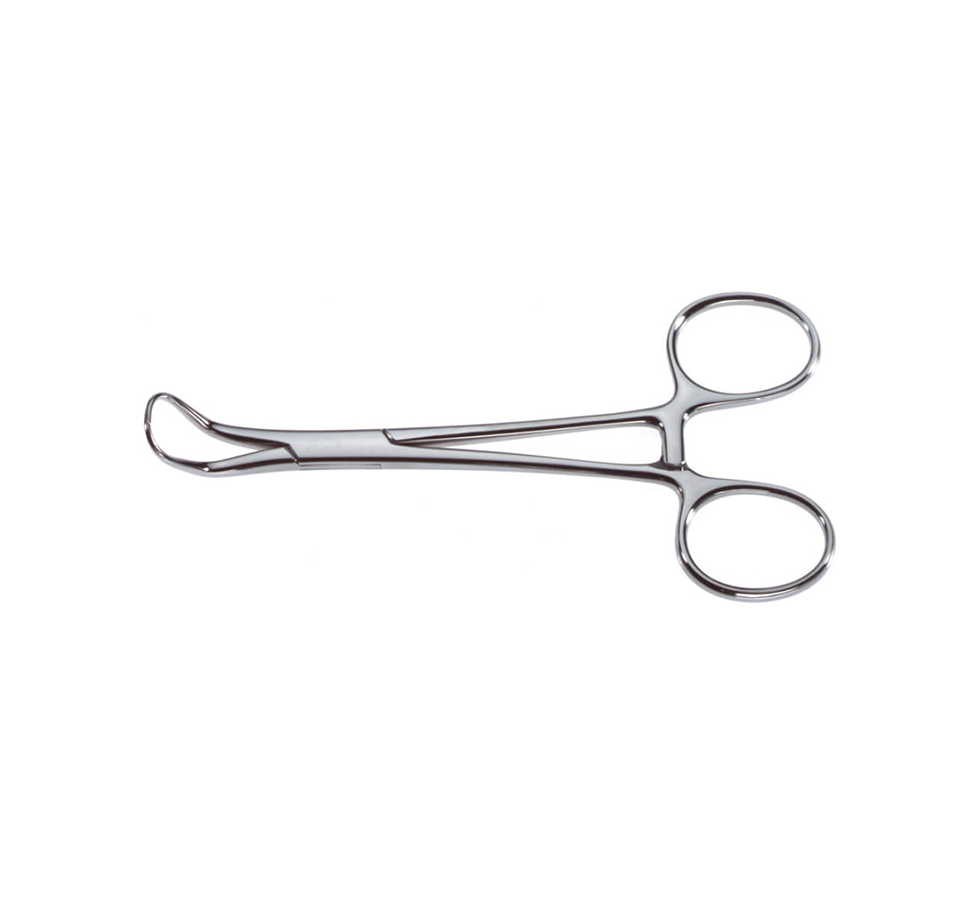 2-9 Backhaus Towel Forceps - Image 1