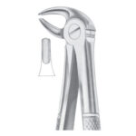 Extracting Forceps
